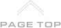 PAGE TOP